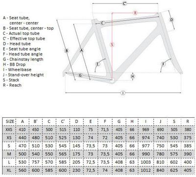 ridley size chart