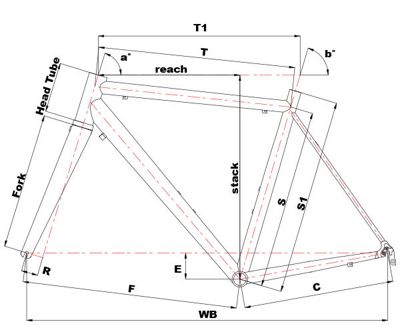 cinelli size chart