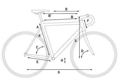 Size Chart Chain Reaction