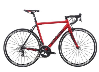raleigh militis team