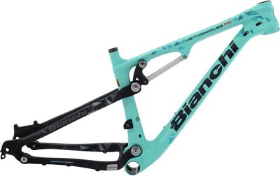 bianchi methanol 29 fs frame