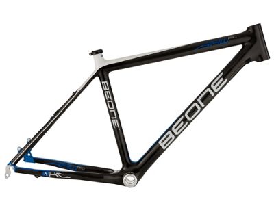 raw carbon frame