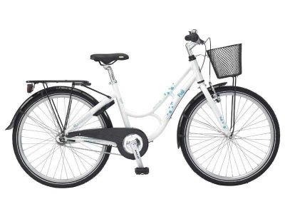 fuji bike 24