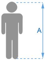 colnago size chart