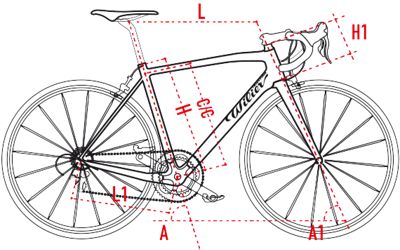 wilier bike sizing